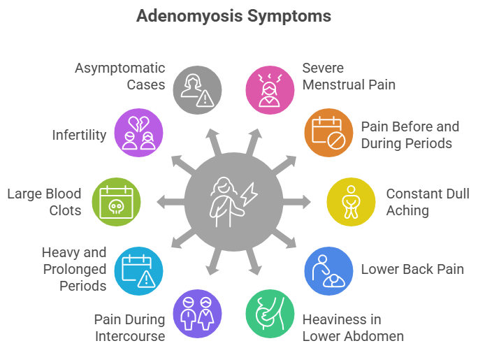 Symptoms of Adenomyosis