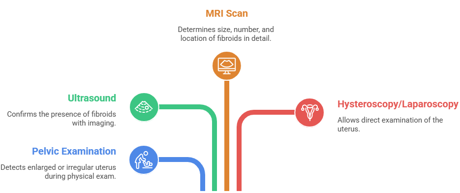 Uterine Fibroid Red Degeneration